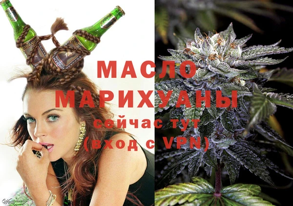 индика Аркадак