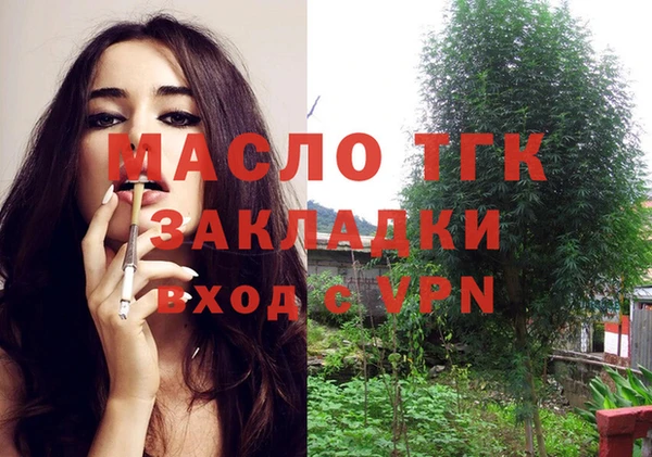 индика Аркадак