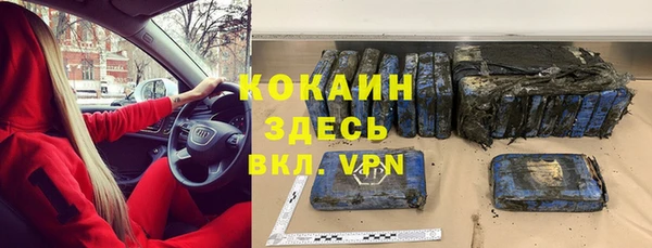 индика Аркадак