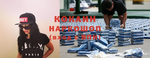 индика Аркадак