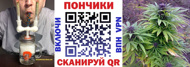 Купить  Лермонтов  Канабис индика 